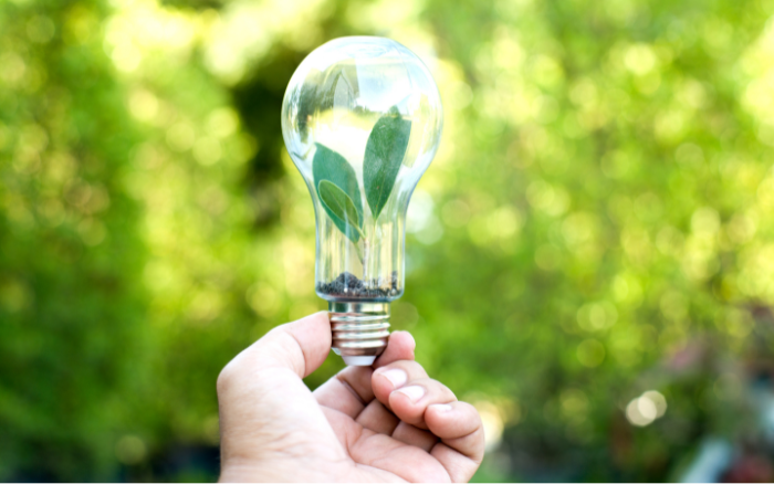 Mỗi kWh Tiết Kiệm – Một Tán Lá Giữ Lại Cho Trái Đất